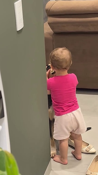 O cão tem muita paciência e está sempre ao redor da criança.