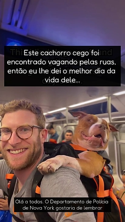 O cão ficou extremamente feliz ao sair do abrigo.