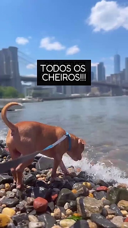Murdock conseguiu aproveitar uma tarde na praia.
