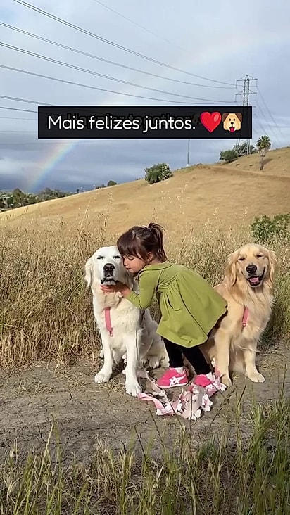 A família tem dois goldens mas Lady é a mais grudada com Olivia.