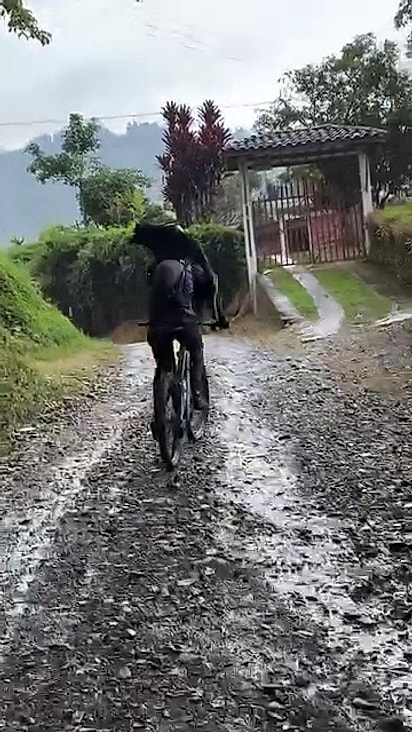 O cão foi levado nas costas pelos atletas.
