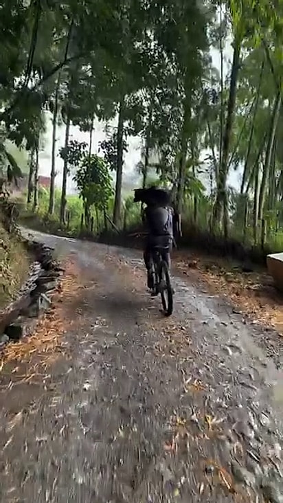 O animal estava em uma área longe da cidade.