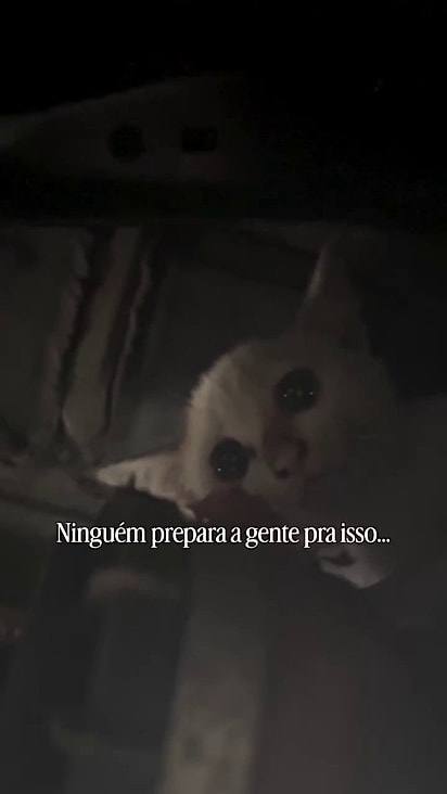 O casal ouviu um miado vindo de um carro desconhecido.