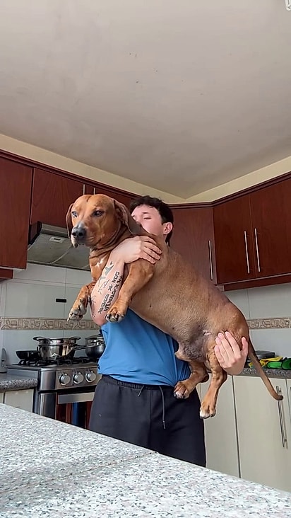 O cão não nasceu com nenhum problema de saúde.