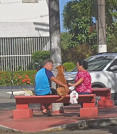 Um gesto simples transformou o dia de Scooby.