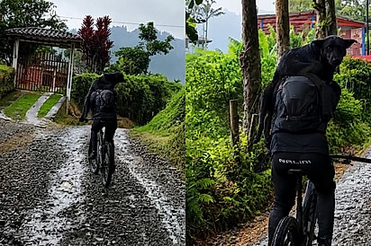 Hoje a rota foi melhor que o normal: ciclista volta para casa com uma surpresa