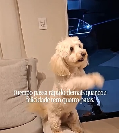 Betina animada para conhecer o novo integrante da família.