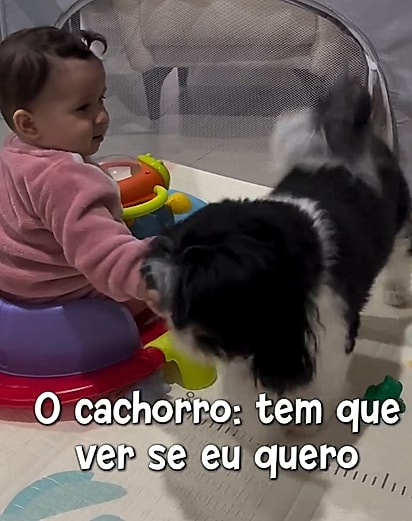 Beatriz ficou animada com a invasão do cachorrinho.