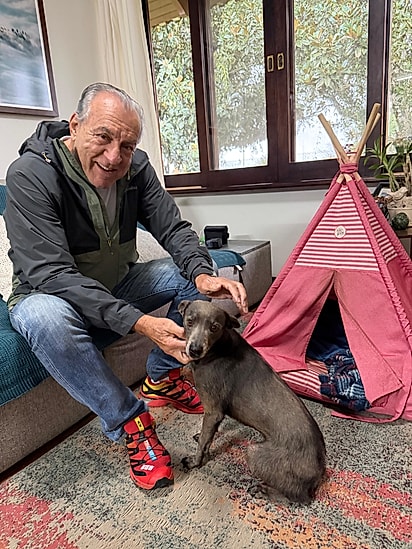 Afonso é apaixonado por Zuri.