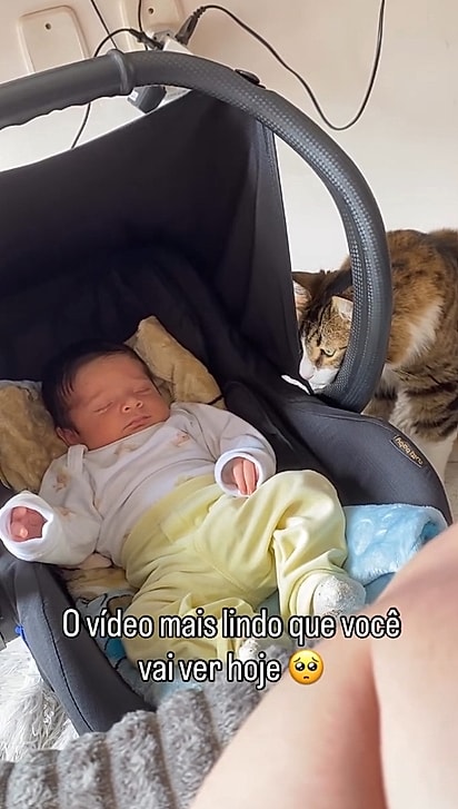Bud olhando com muito amor e curiosidade para o irmãozinho