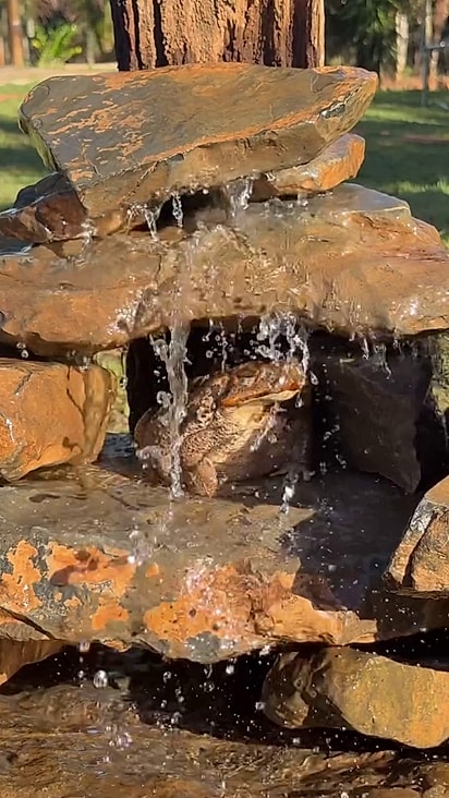 Ele adorou a cascata do resort.