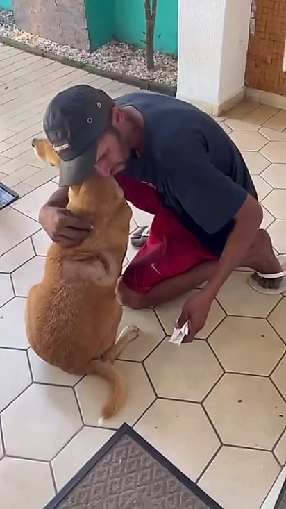 O tutor esperou por ela na porta da clínica.