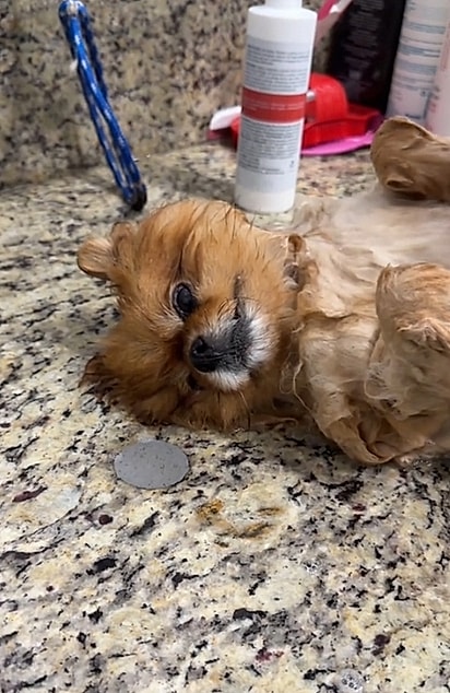 Eva é muito tranquila no banho.