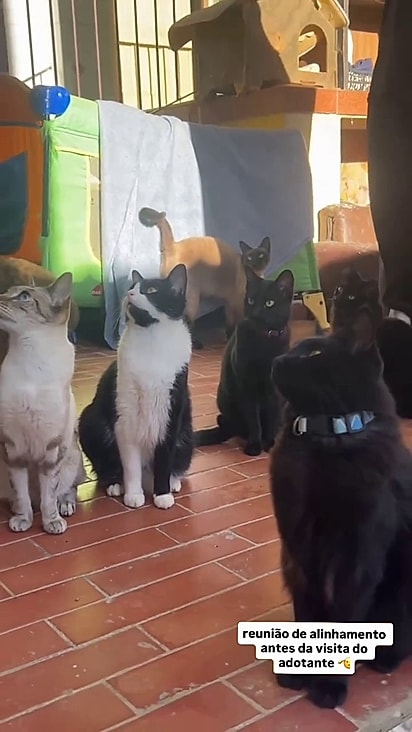 Eles pareciam interessados nas dicas.