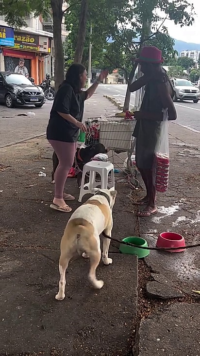 Os cães foram resgatados após a fatalidade.