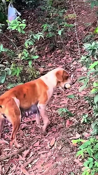 Ela estava vivendo na mesma situação há muito tempo.