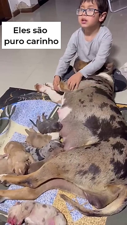 O menino sabe como confortar a cachorrinha.