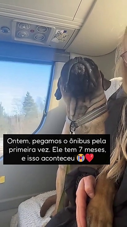 A reação de Billy emocionou a tutora.