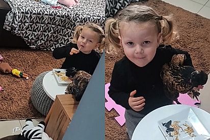 Mãe desconfia do silêncio da filha e encontra uma cena inacreditavelmente fofa e engraçada na sala de casa.
