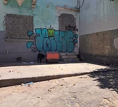 Bob foi abandonado em uma calçada, junto com a própria casinha.