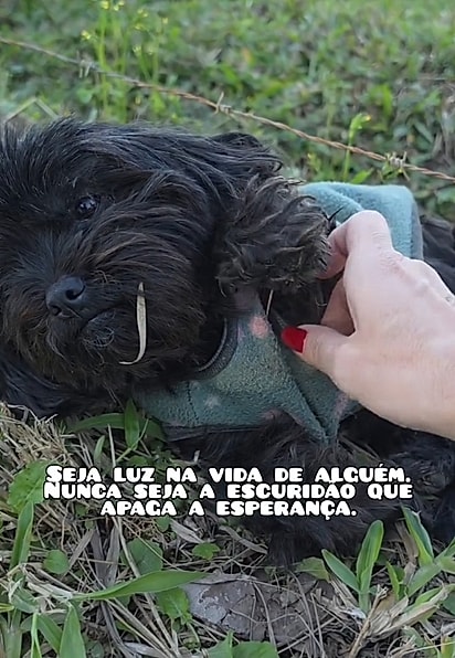 Naomi foi encontrada sozinha à beira da estrada.