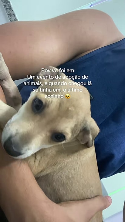 Francisco não poderia deixar o cãozinho para trás.
