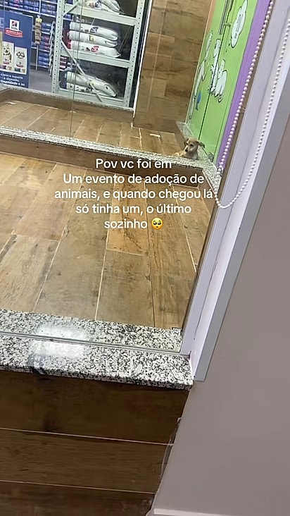 O jovem disse que a cena tocou o coração dele.