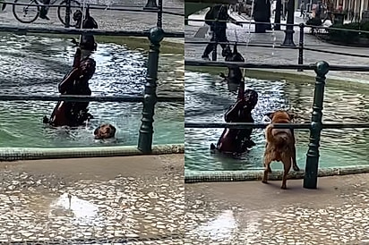 Mais feliz que eu: Mesmo com 13°, vira-lata é flagrado se divertindo em fonte de Curitiba e alegria da cena viraliza