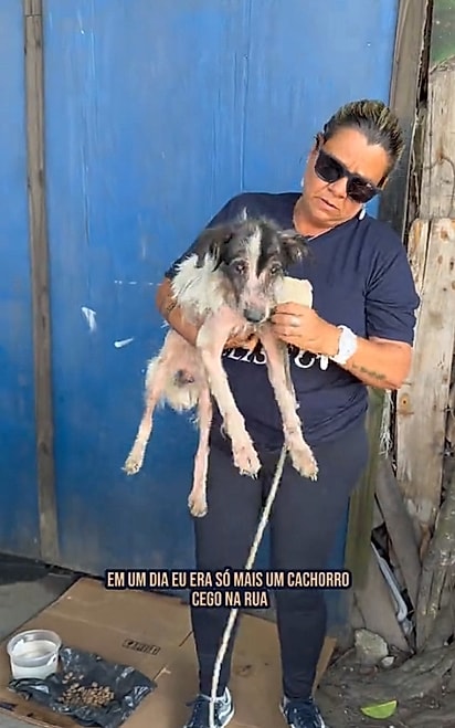 Julinho foi resgatado em péssimas condições.