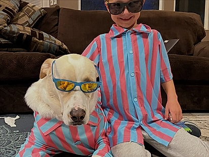 Roan ama demais o seu cachorro.