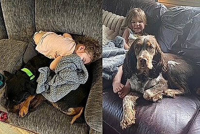 Thea dormindo com Buddy / Thea e Hartley.