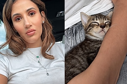 Jovem que nunca teve gatos cai no ‘golpe da adoção’ e está prestes a participar de ‘pirâmide’, alertam seguidores.