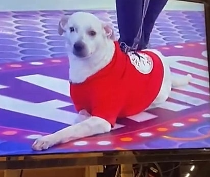 Cido chegou quando Danilo mais precisava de uma razão para continuar.