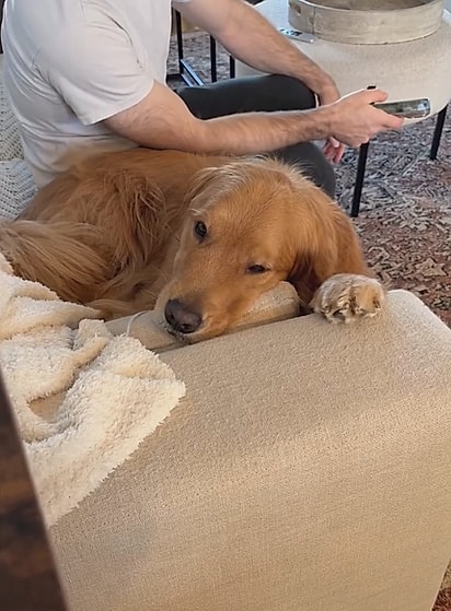 Wally triste porque a visita foi embora. 