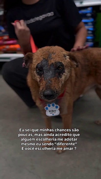 Ele está 100% curado do problema de pele.