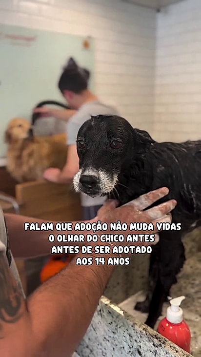 Por 14 anos ele viveu esperando por uma família.