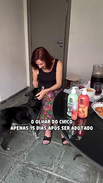 O cão finalmente ganhou um lar.