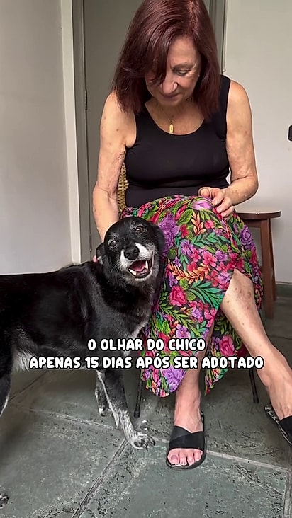 Chico está sendo muito feliz.