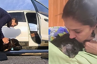 Jurei que não levaria para casa mais nenhum