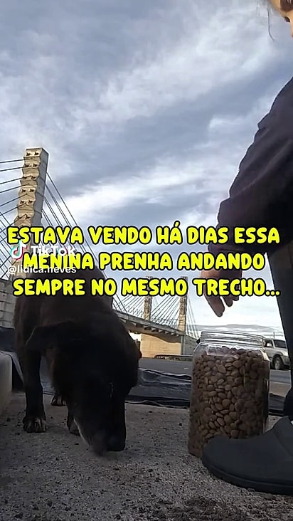 A mulher sabia que precisava resgatar a cachorrinha.