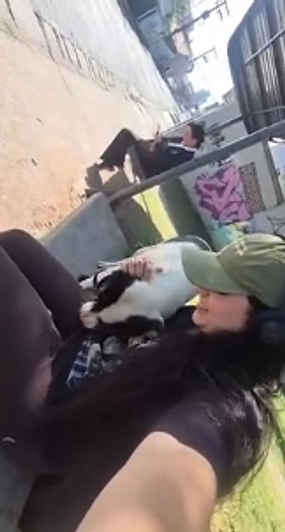 Nicole viu os cães pela primeira vez na parada de ônibus.