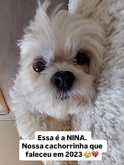 A cachorrinha Nina.