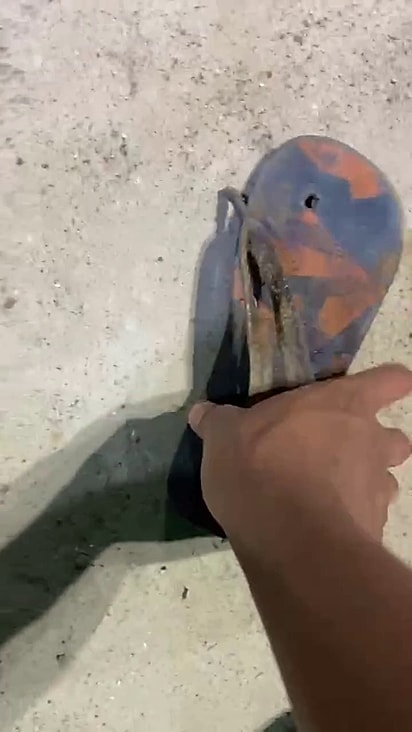 O cão estava brincando com um chinelo perdido da praça.