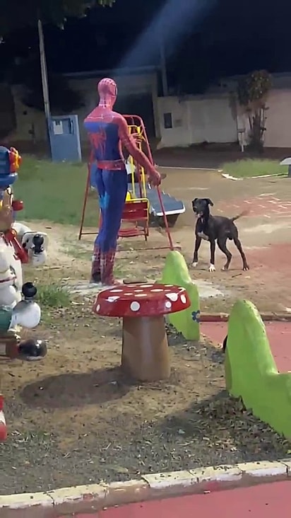 O cachorrinha pensou que a estátua era uma pessoa para brincar com ele.