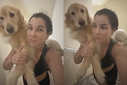 O temido dia chegou: Prédio fica sem luz e jovem é obrigada a subir 19 andares com sua golden retriever nas costas