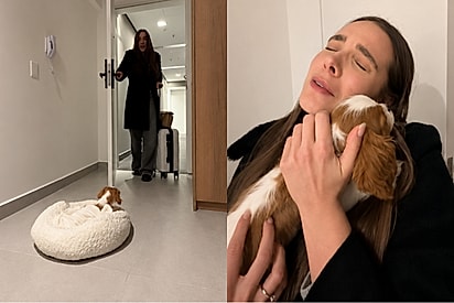 “Ele foi buscá-la de avião”: noivo realiza sonho da noiva e prepara surpresa com cachorrinha.