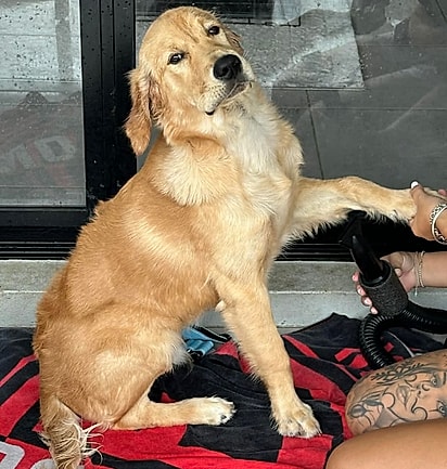 Thor sabe muito bem como conseguir o que quer.
