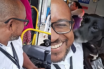 Cadê o amor da minha vida?: Dia de motorista se alegra ao ver que sua passageira favorita estava esperando