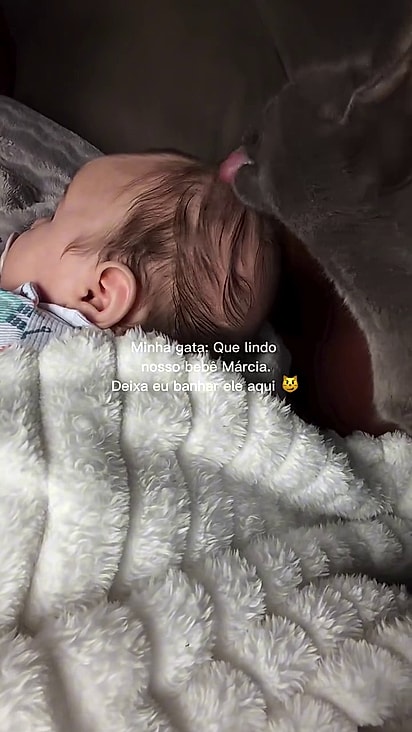 A felina ajuda a cuidar do bebê.