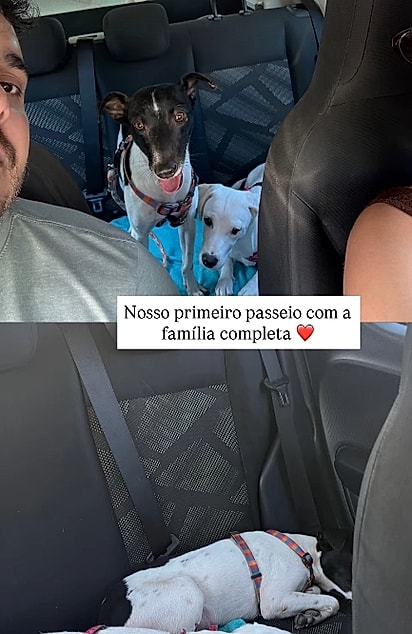 Joca foi adotado por Tauany.